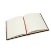 achala-journal-paper-blanks-Aurelia