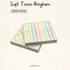achala-joural-soft-tones-Gingham (3)