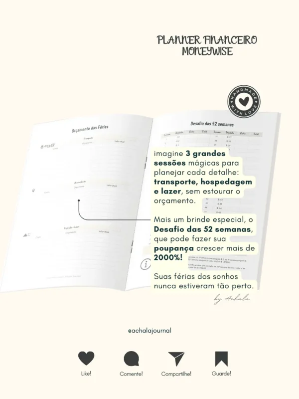 Achala Planner Financeiro Moneywise - Semestral