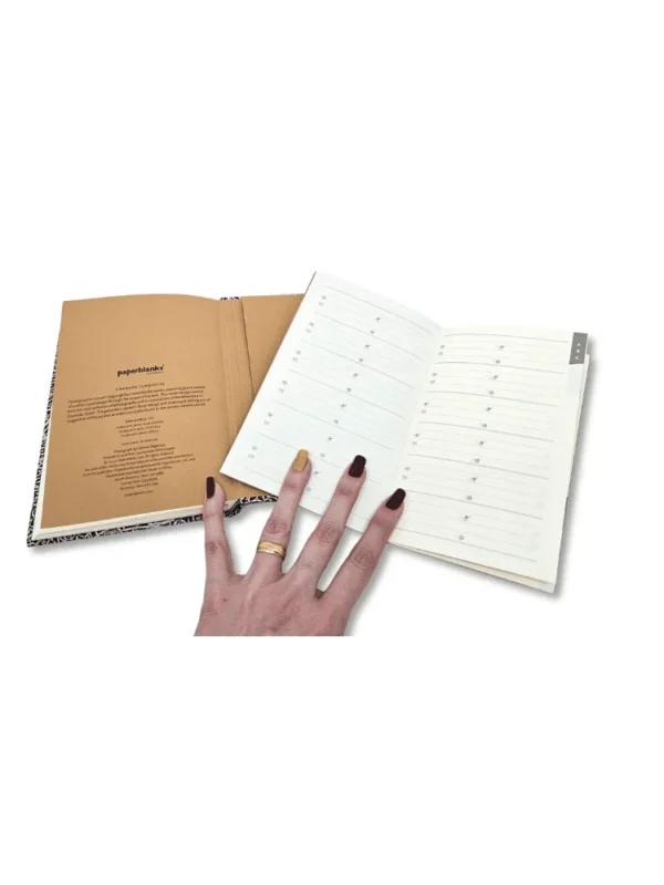 Paperblanks Midi Granada Turguoise
