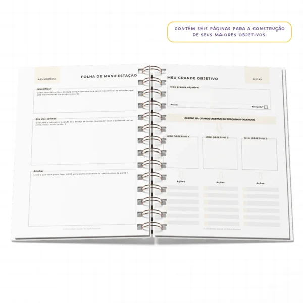 Planner da Gratidão Anual - WireO
