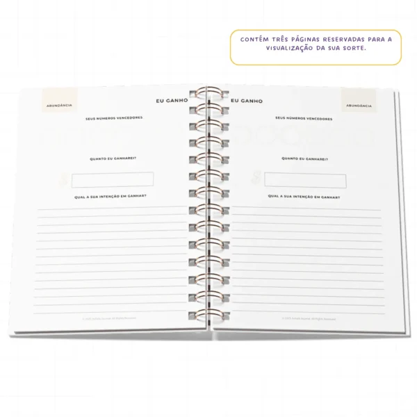 Planner da Gratidão Anual - WireO