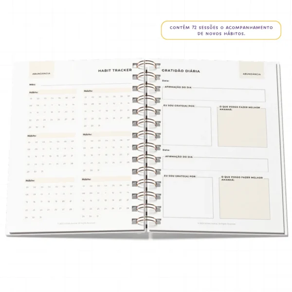 Planner da Gratidão Anual - WireO