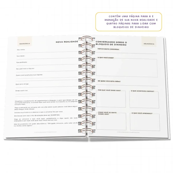 Planner da Gratidão Anual - WireO